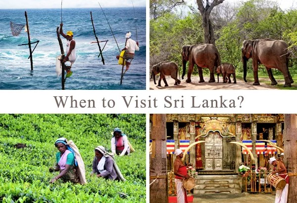 Best Time to Visit Sri Lanka