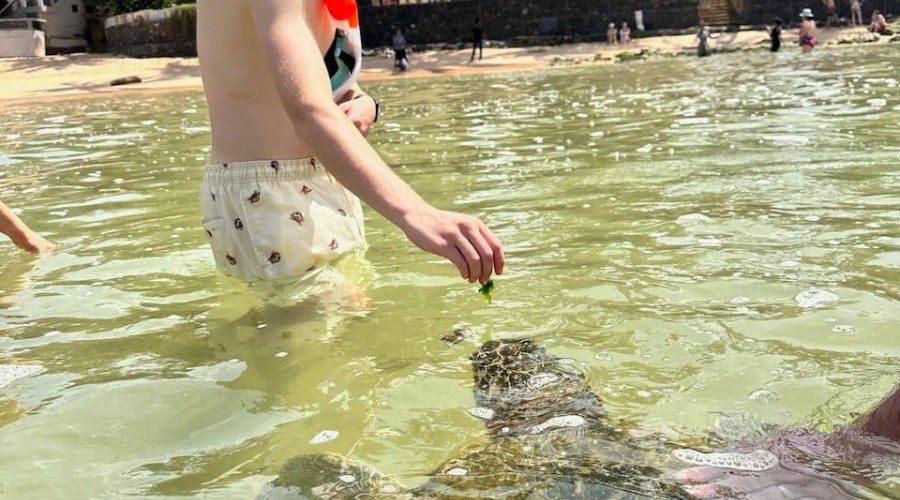 Sri Lanka Attractions