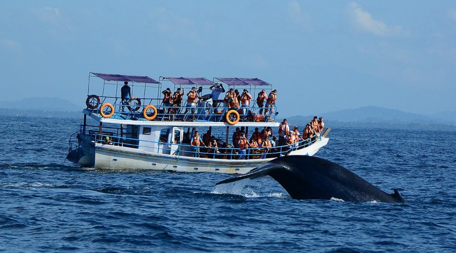 Sri Lanka Attractions